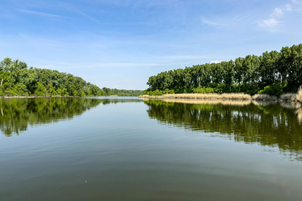 Navigating the Saudi Arabian Banking Landscape: How to Secure a Loan with SNB, Al Rajhi Bank, and Alinma Bank - como solicitar empréstimo na Arábia Saudita