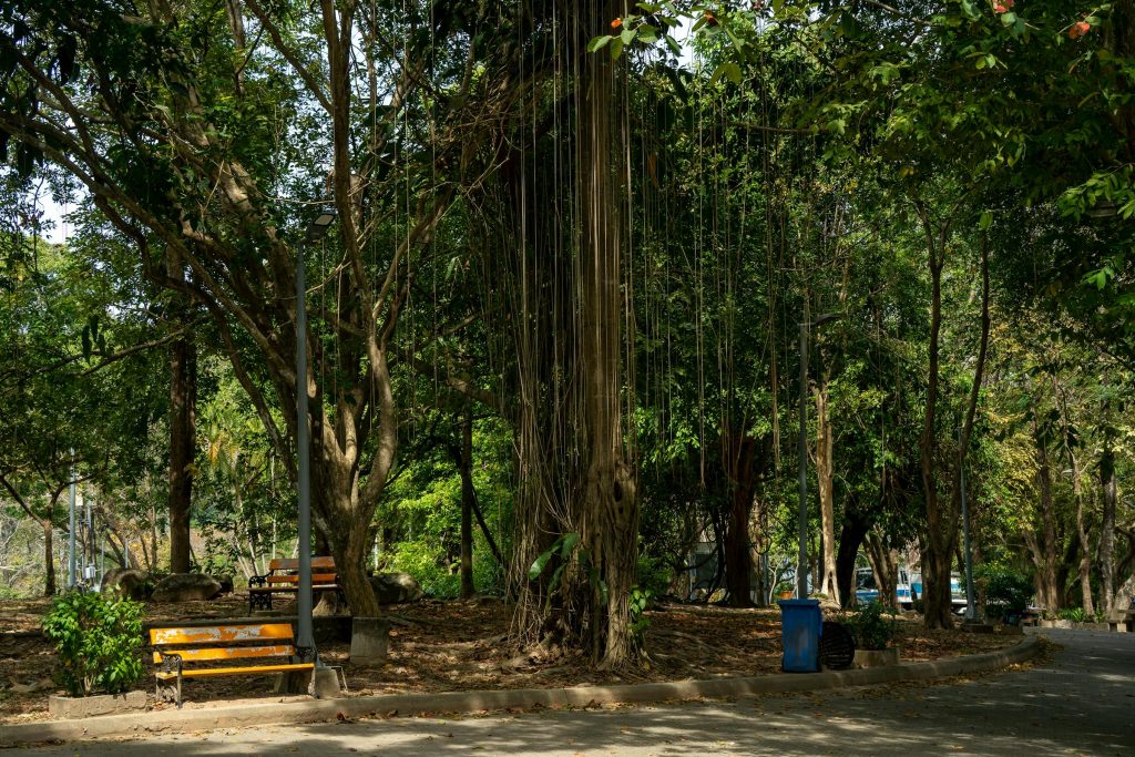 Innovative Financing Solutions: Exploring Investree Thailand and Alternative Lending Platforms - como solicitar empréstimo na Tailândia