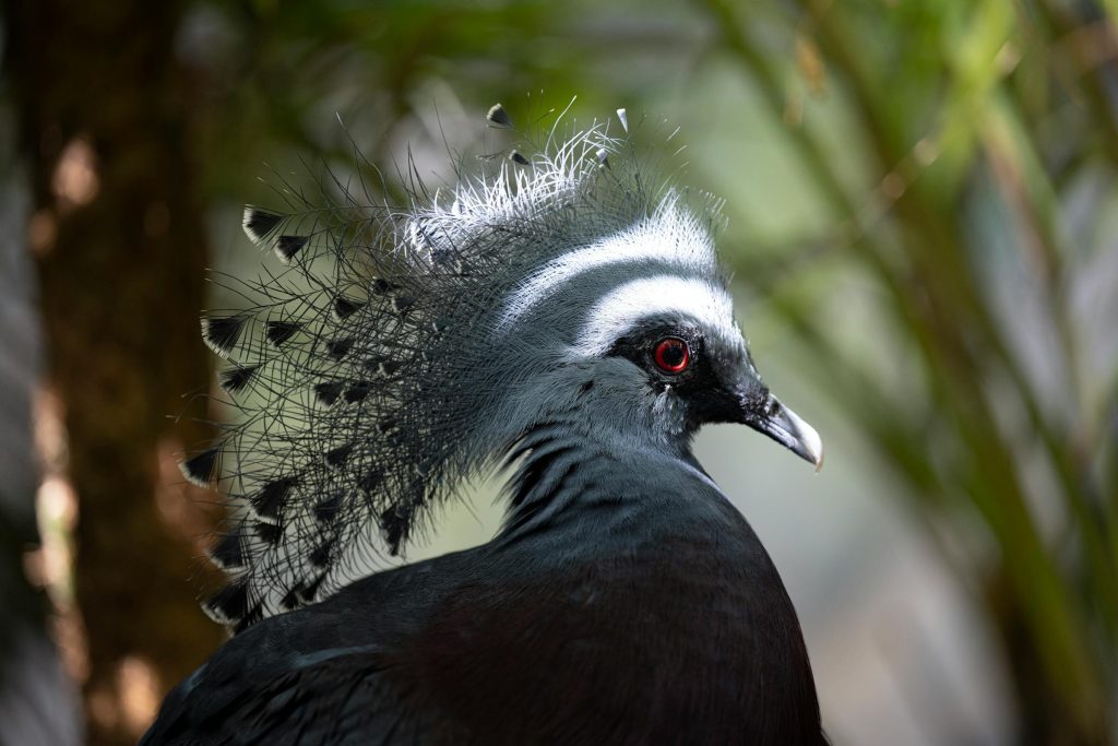 Unlocking Financing Solutions: How Mashreq Bank and First Abu Dhabi Bank Cater to Expats in the UAE - Como solicitar empréstimo nos Emirados Árabes Unidos