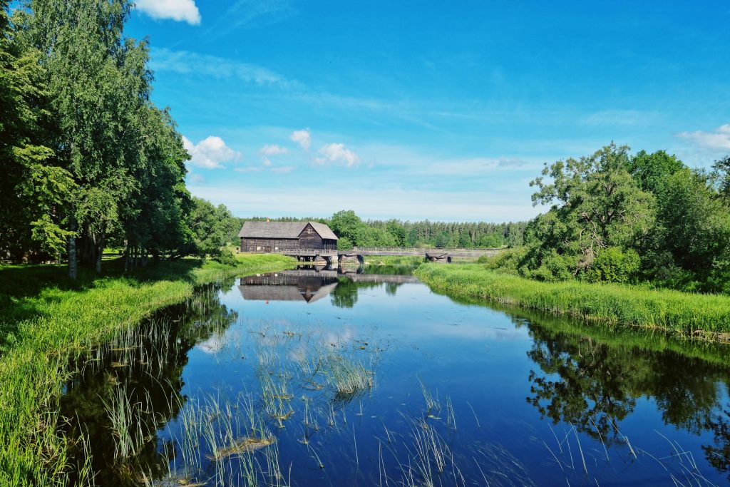 Exploring Career Paths in Estonia: Insights from SEB Pank, Pipedrive, and Playtech Estonia - Melhores oportunidades de emprego na Estônia