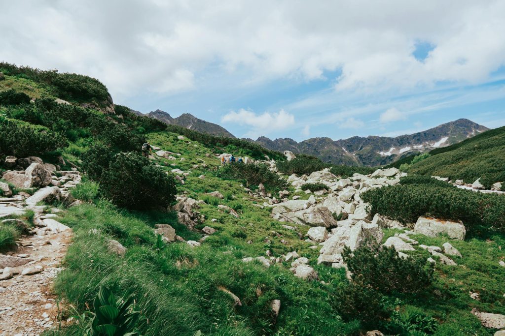 Maximizing Your Chances: How to Successfully Apply for a Loan with Tatra Banka and ČSOB Banka - como solicitar empréstimo na Eslováquia