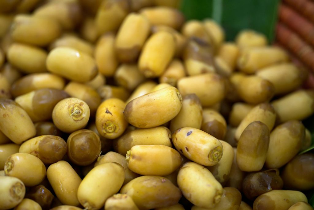 Navigating the Saudi Job Market: Best Companies for High Salaries in 2023 - Empresas com melhores salários na Arábia Saudita